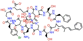 Theonellamide G